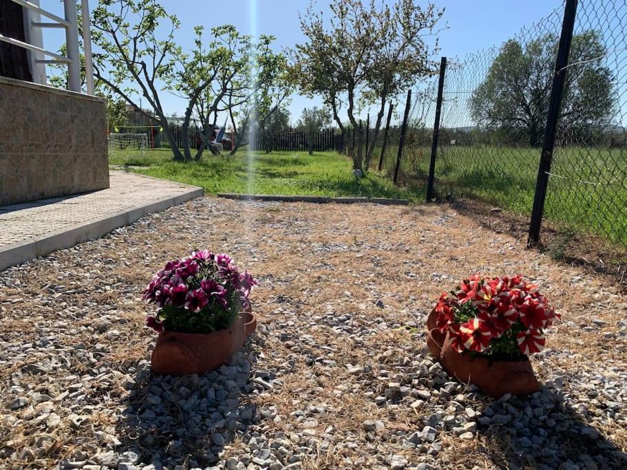 Villa ,,Sea Breeze,, - Home By The Sea Néa Ankhíalos Esterno foto