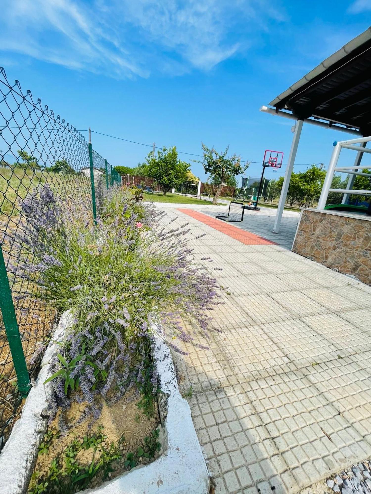 Villa ,,Sea Breeze,, - Home By The Sea Néa Ankhíalos Esterno foto